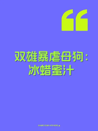 双雄暴虐母狗：冰蜡蜜汁