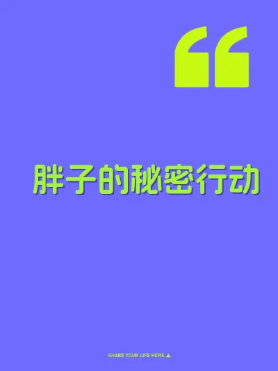 胖子的秘密行动