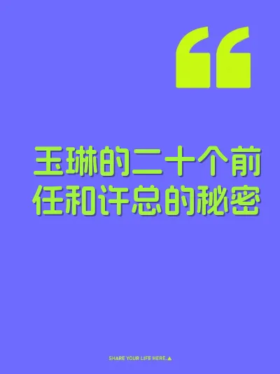 玉琳的二十个前任和许总的秘密