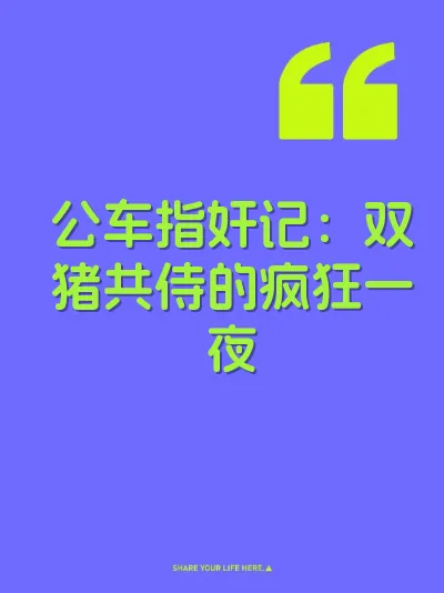 公车指奸记：双猪共侍的疯狂一夜