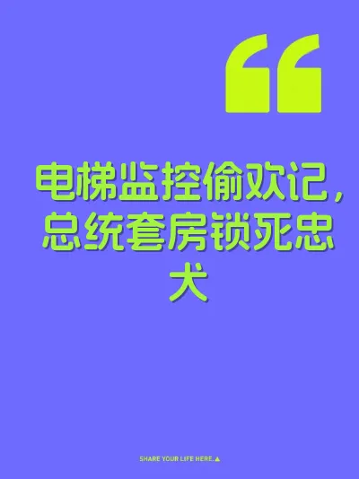 电梯监控偷欢记，总统套房锁死忠犬