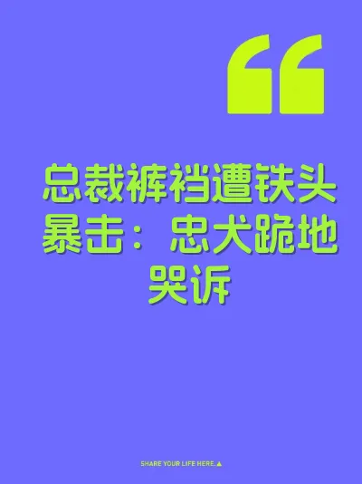 总裁裤裆遭铁头暴击：忠犬跪地哭诉