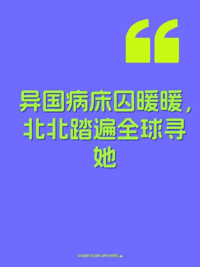 异国病床囚暖暖，北北踏遍全球寻她