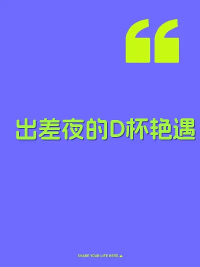 出差夜的D杯艳遇
