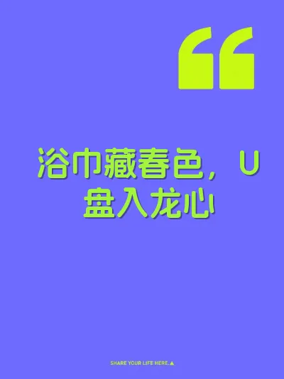 浴巾藏春色，U盘入龙心