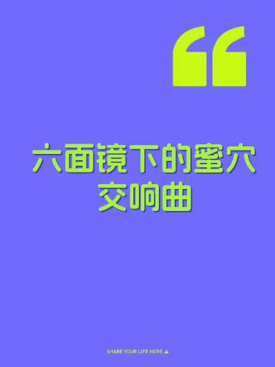 六面镜下的蜜穴交响曲