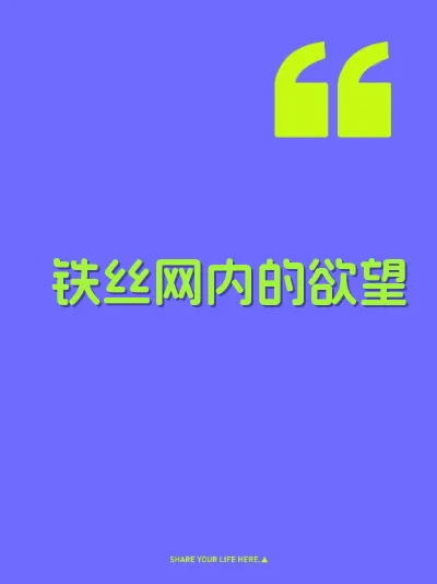 铁丝网内的欲望