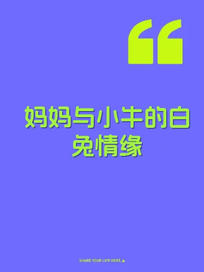 妈妈与小牛的白兔情缘