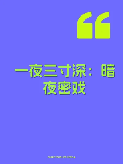 一夜三寸深：暗夜密戏