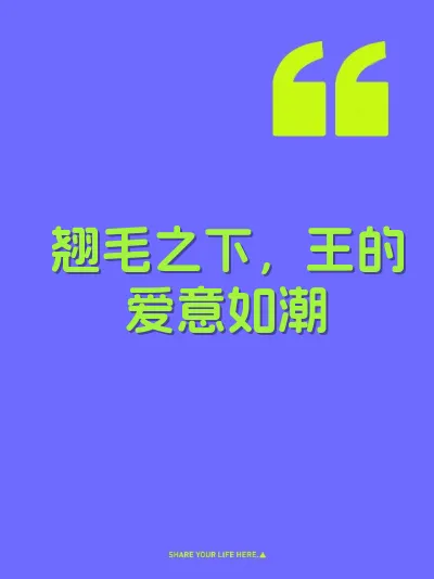 翘毛之下，王的爱意如潮
