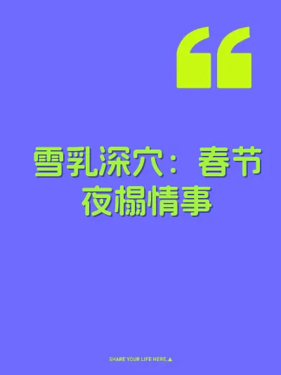 雪乳深穴：春节夜榻情事