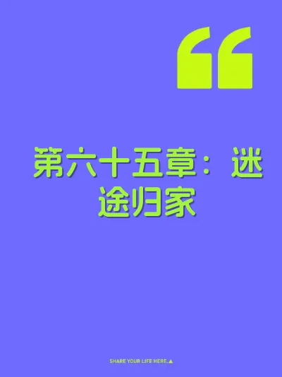 第六十五章：迷途归家