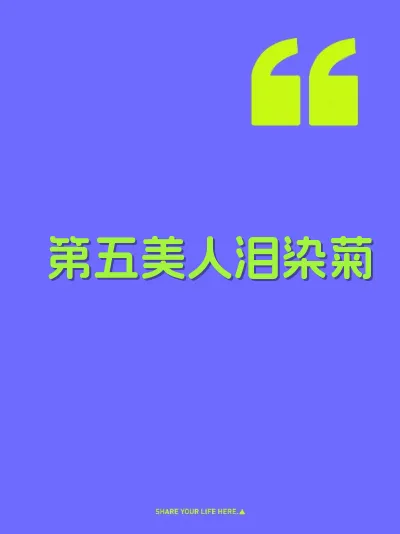 第五美人泪染菊