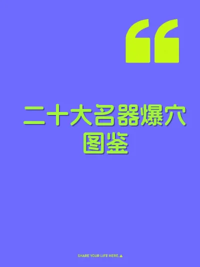 二十大名器爆穴图鉴