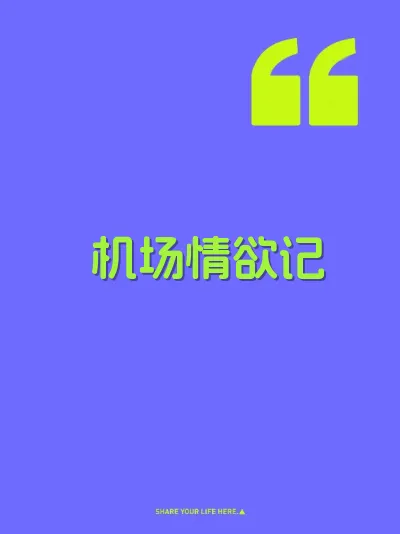机场情欲记
