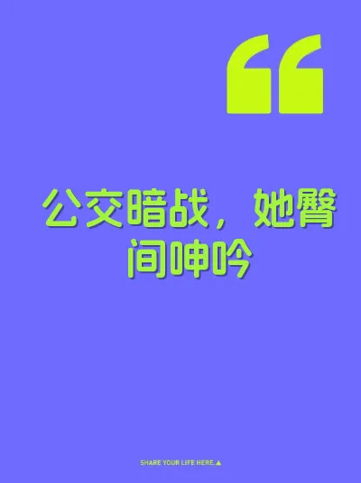 公交暗战，她臀间呻吟