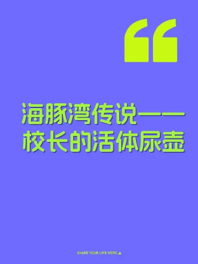 海豚湾传说——校长的活体尿壶