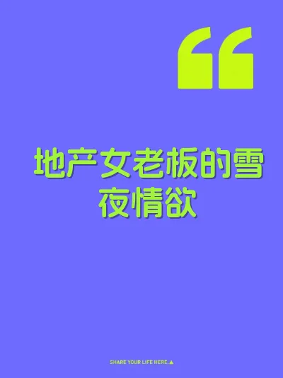 地产女老板的雪夜情欲