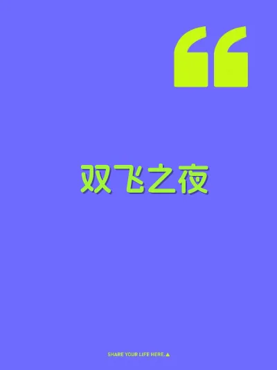 双飞之夜