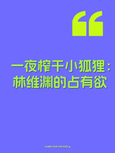 一夜榨干小狐狸：林维渊的占有欲