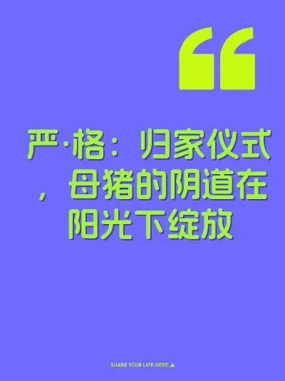 严·格：归家仪式，母猪的阴道在阳光下绽放