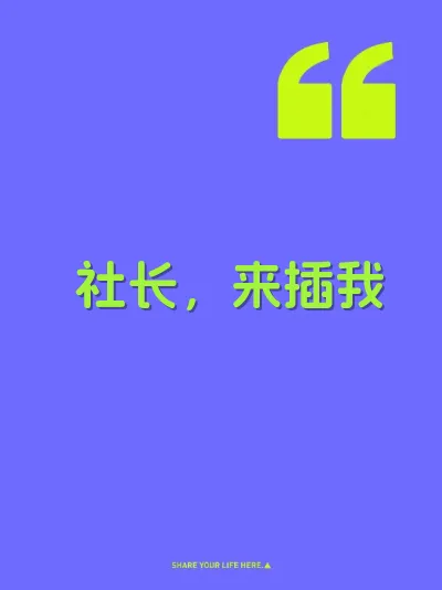 社长，来插我