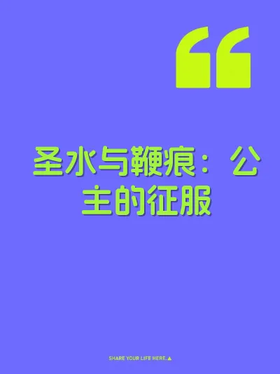 圣水与鞭痕：公主的征服