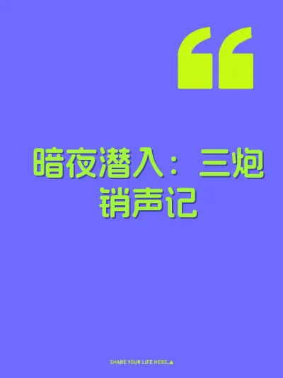 暗夜潜入：三炮销声记