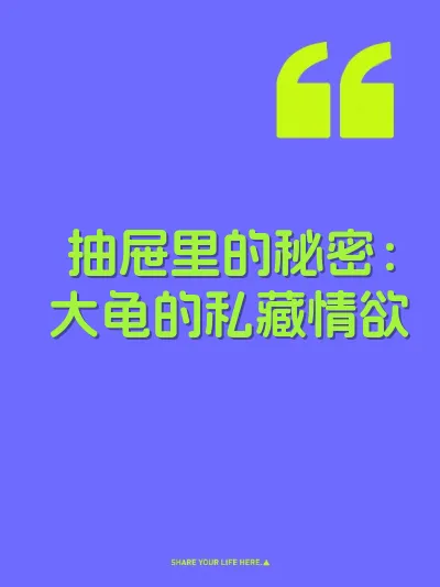 抽屉里的秘密：大龟的私藏情欲