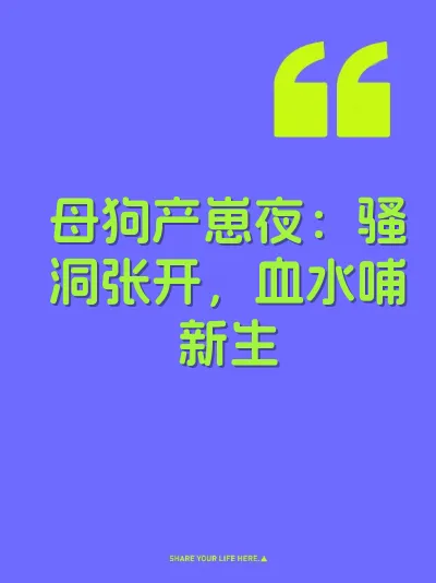 母狗产崽夜：骚洞张开，血水哺新生