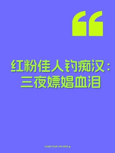 红粉佳人钓痴汉：三夜嫖娼血泪