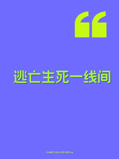 逃亡生死一线间