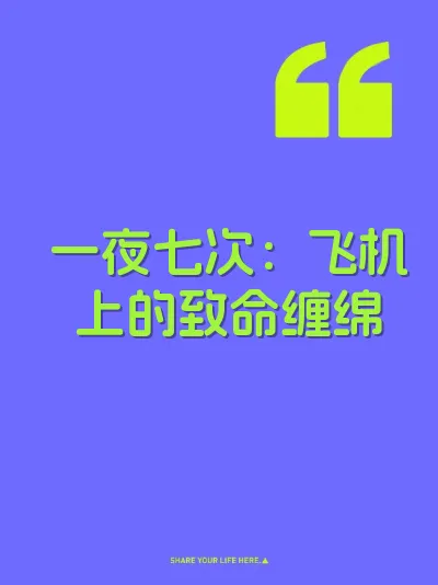 一夜七次：飞机上的致命缠绵