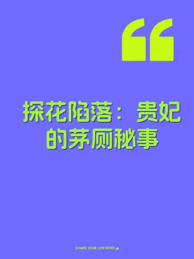 探花陷落：贵妃的茅厕秘事