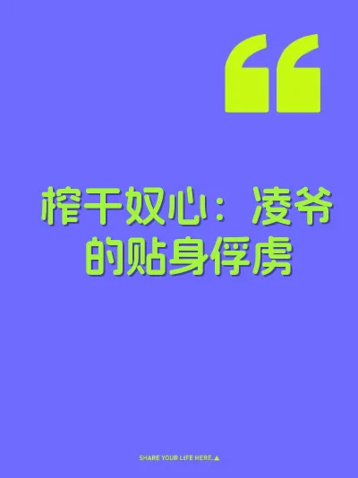 榨干奴心：凌爷的贴身俘虏