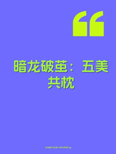 暗龙破茧:五美共枕