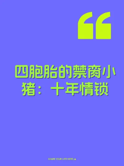 四胞胎的禁脔小猪：十年情锁