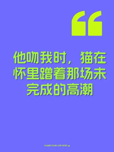 他吻我时，猫在怀里蹭着那场未完成的高潮