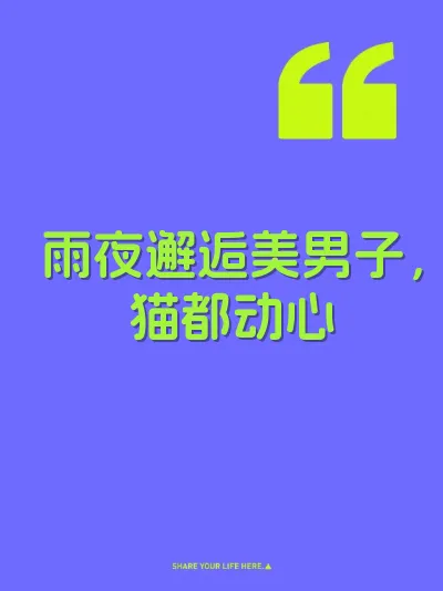 雨夜邂逅美男子，猫都动心