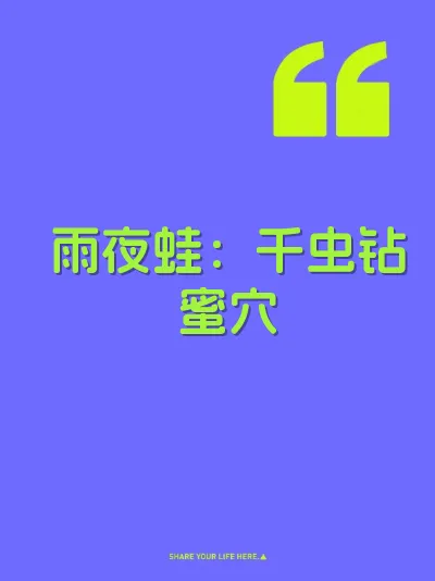雨夜蛙：千虫钻蜜穴