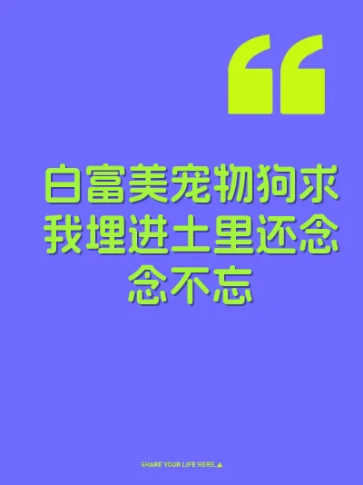 白富美宠物狗求我埋进土里还念念不忘