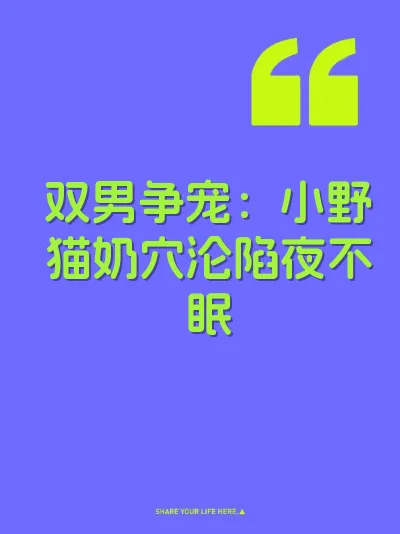 双男争宠：小野猫奶穴沦陷夜不眠