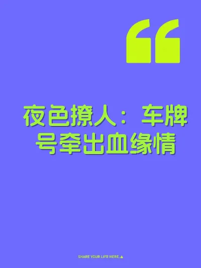 夜色撩人：车牌号牵出血缘情