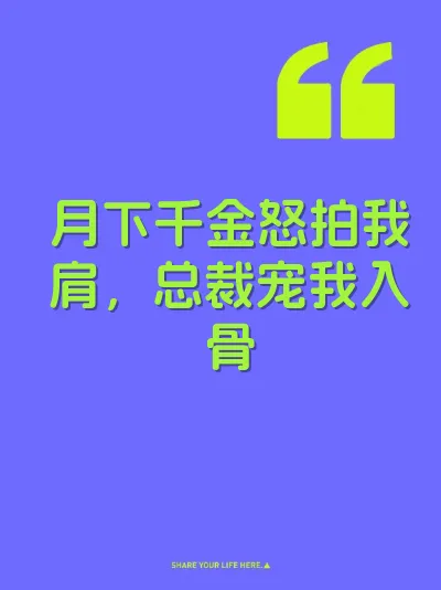 月下千金怒拍我肩，总裁宠我入骨