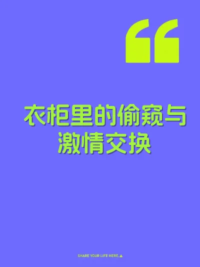 衣柜里的偷窥与激情交换
