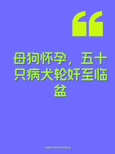 母狗怀孕，五十只病犬轮奸至临盆