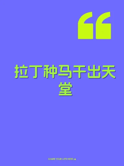 拉丁种马干出天堂
