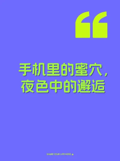 手机里的蜜穴，夜色中的邂逅