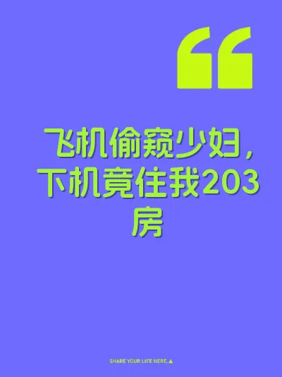 飞机偷窥少妇，下机竟住我203房