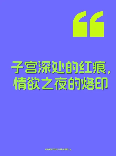 子宫深处的红痕，情欲之夜的烙印